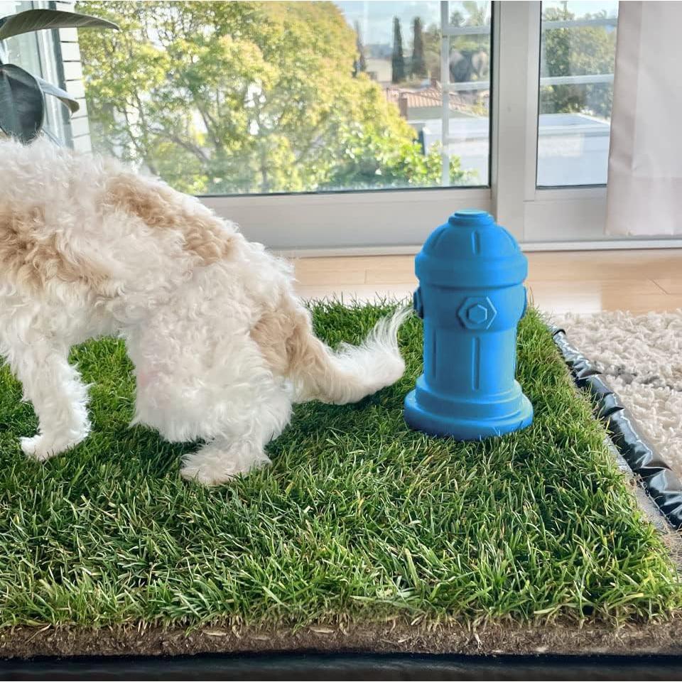 Hidratante de Silicona para Perros Machos Bark Potty 10x18cm Azul