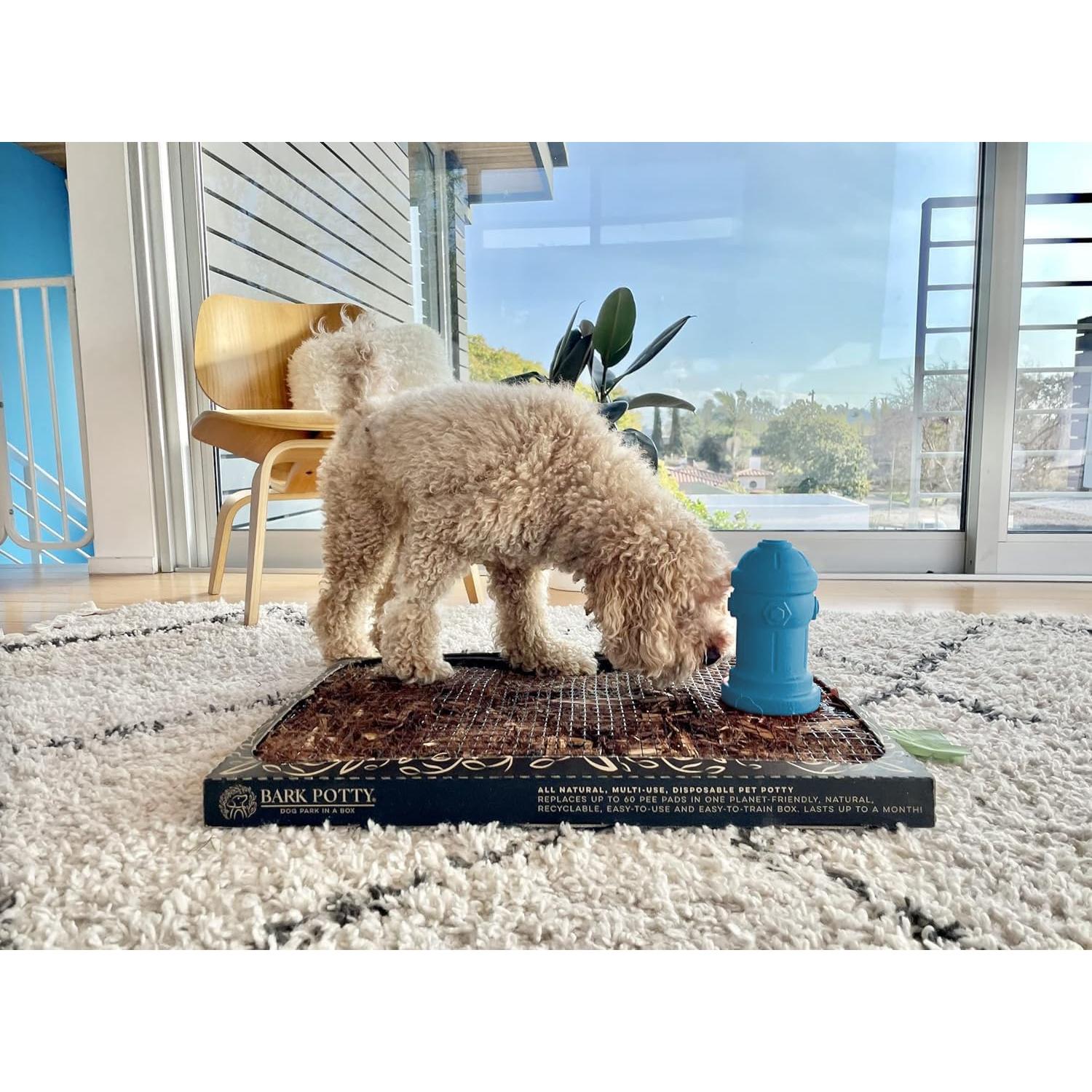 Hidratante de Silicona para Perros Machos Bark Potty 10x18cm Azul