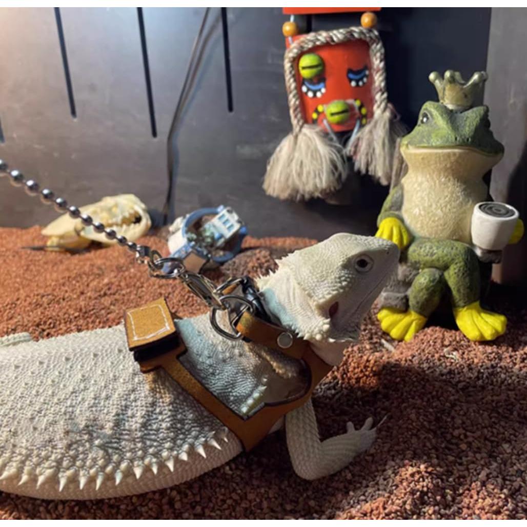 Arnés Ajustable para Dragón Barbudo KUNBIUH - M, L, XL