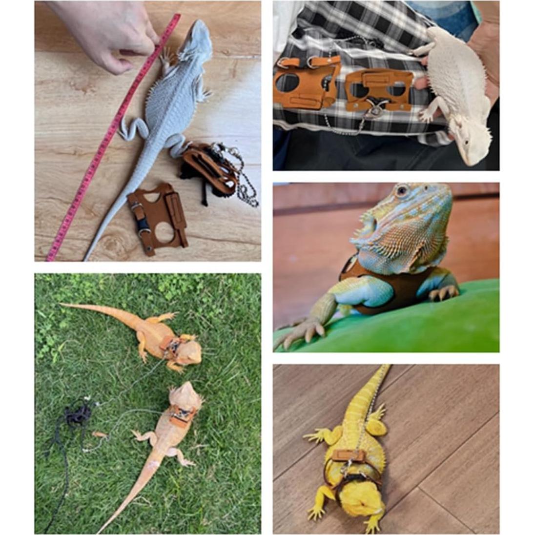 Arnés Ajustable para Dragón Barbudo KUNBIUH - M, L, XL