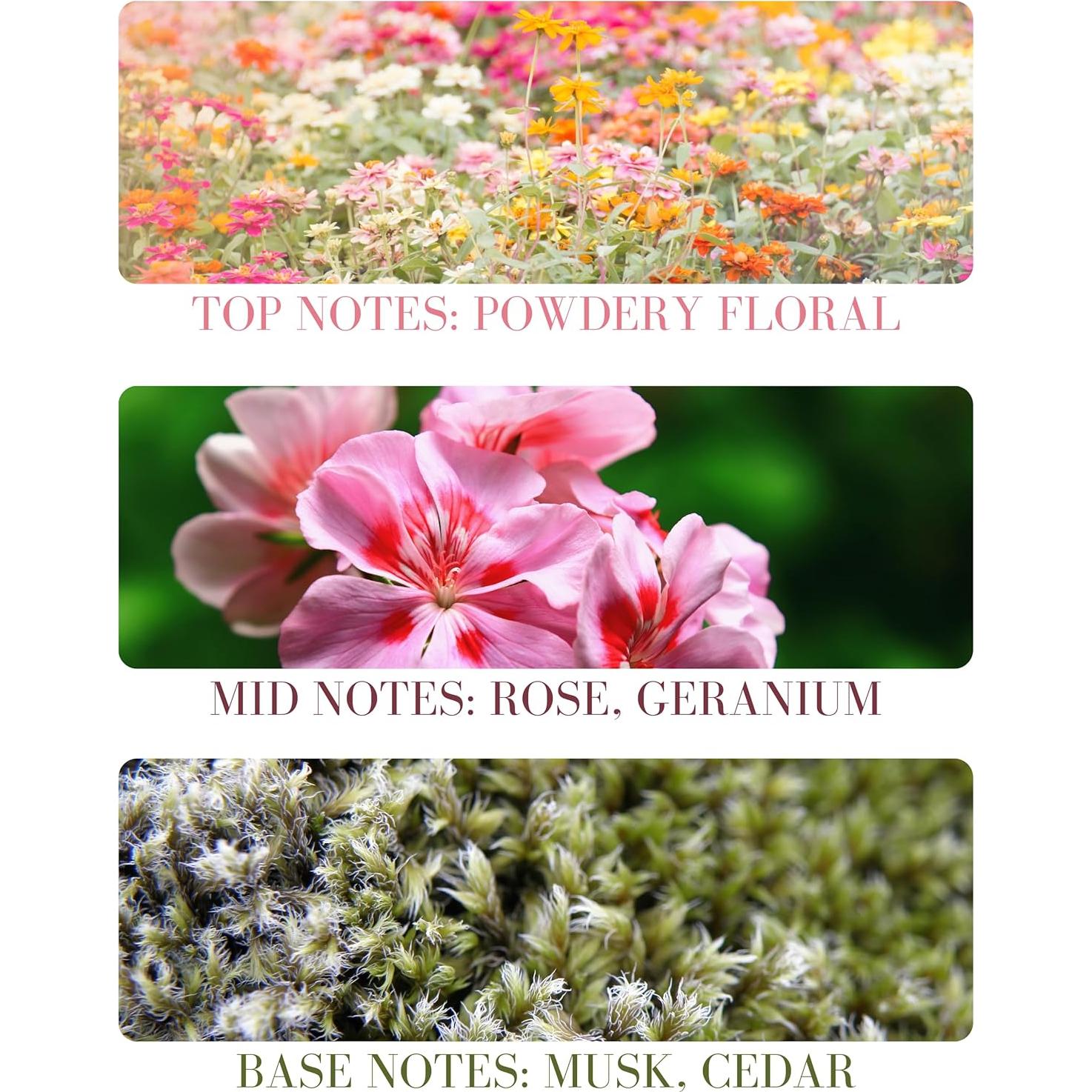 Roll On Aromaterapia Aceite Esencial Jojoba Orgánico 12.7cm