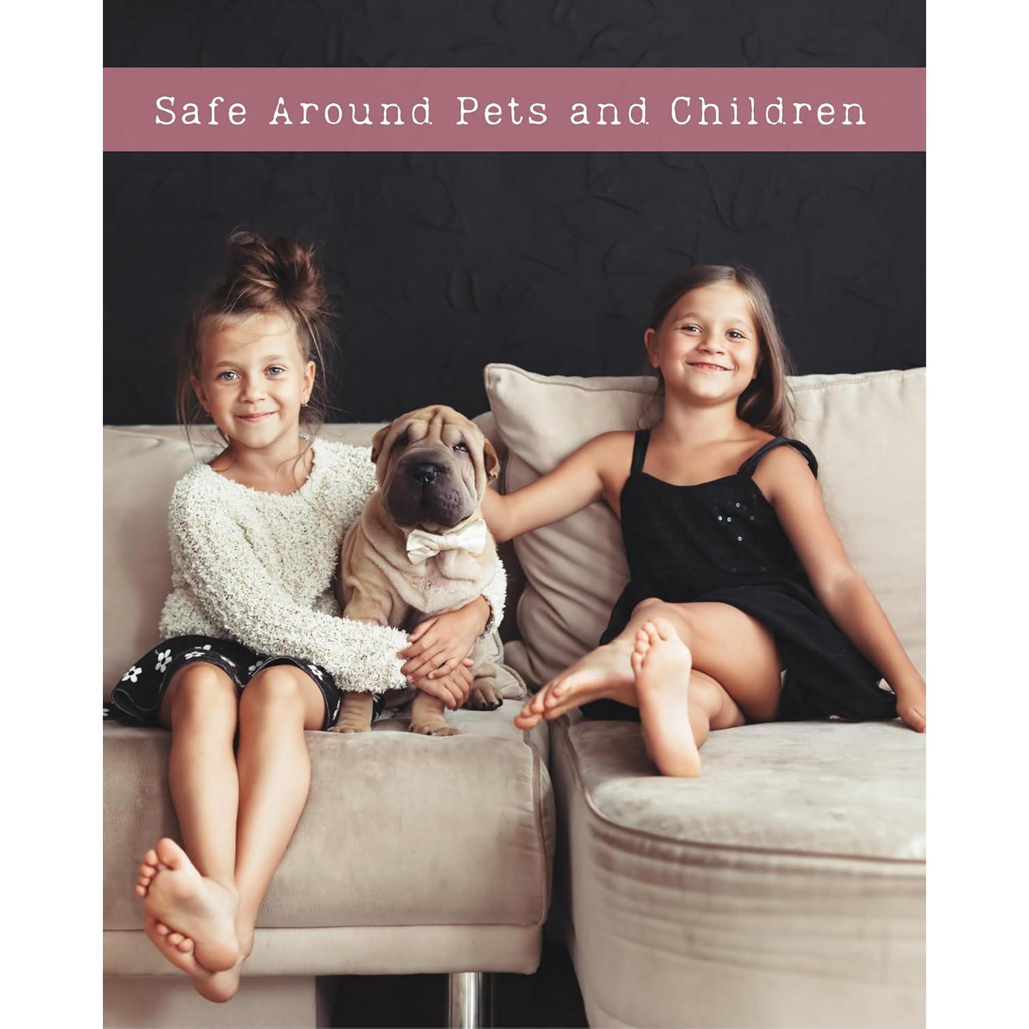 Roll On Aromaterapia Aceite Esencial Jojoba Orgánico 12.7cm