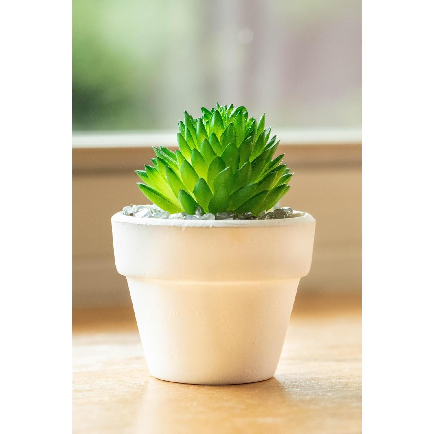 Ambientador de Aire para Auto Macramé Suculenta 26x6 cm