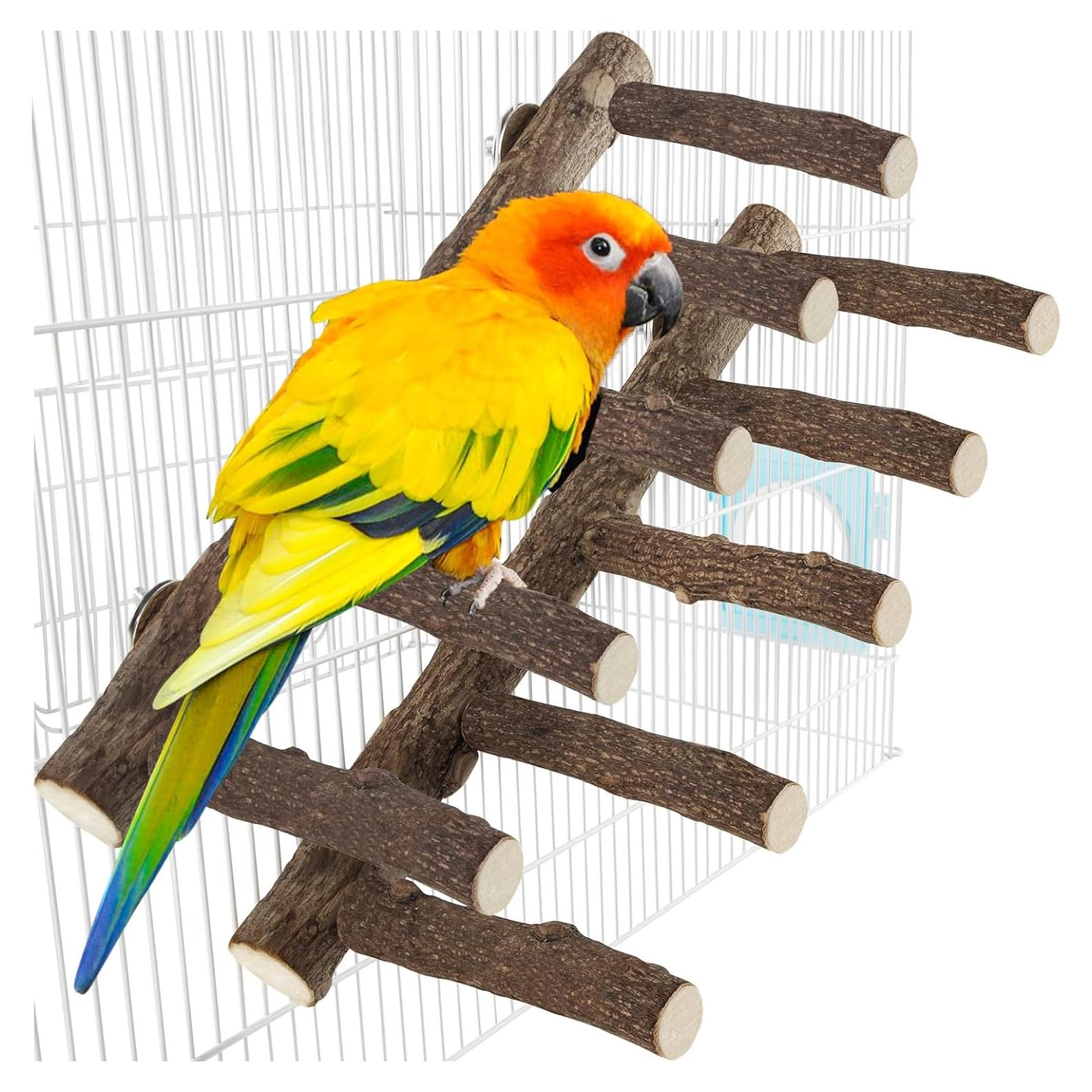 Soporte de Madera para Aves 2 Pcs TORINALITAL 30.99 cm