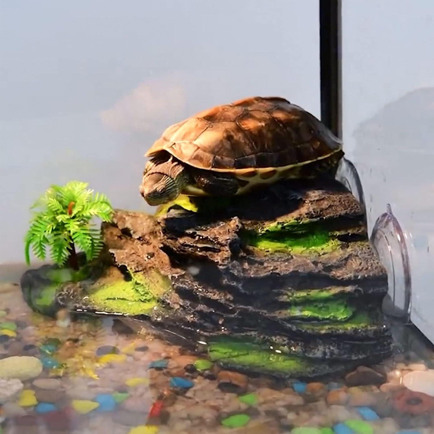 Plataforma de Sol para Tortugas Kathson con Ventosas 18x16cm