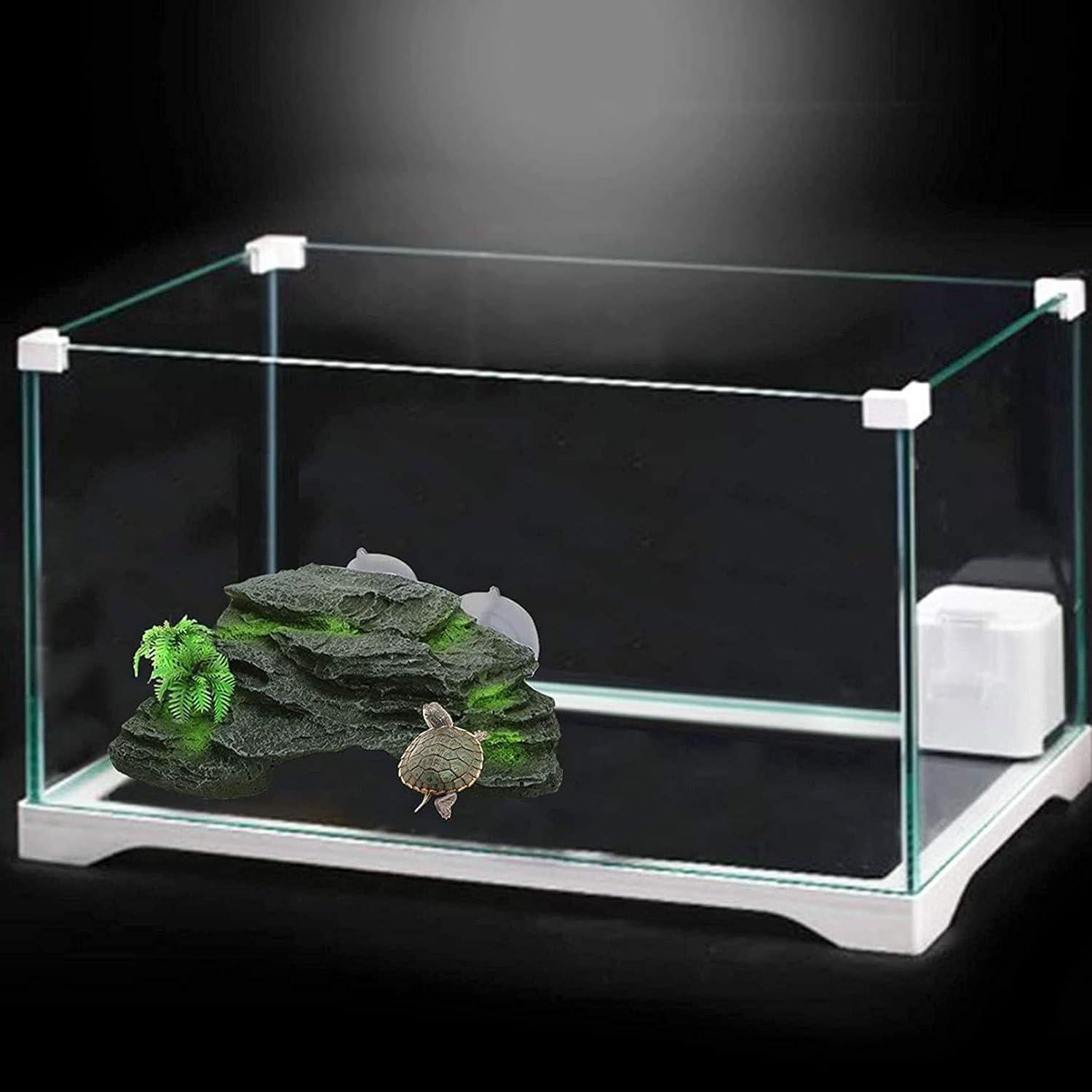 Plataforma de Sol para Tortugas Kathson con Ventosas 18x16cm