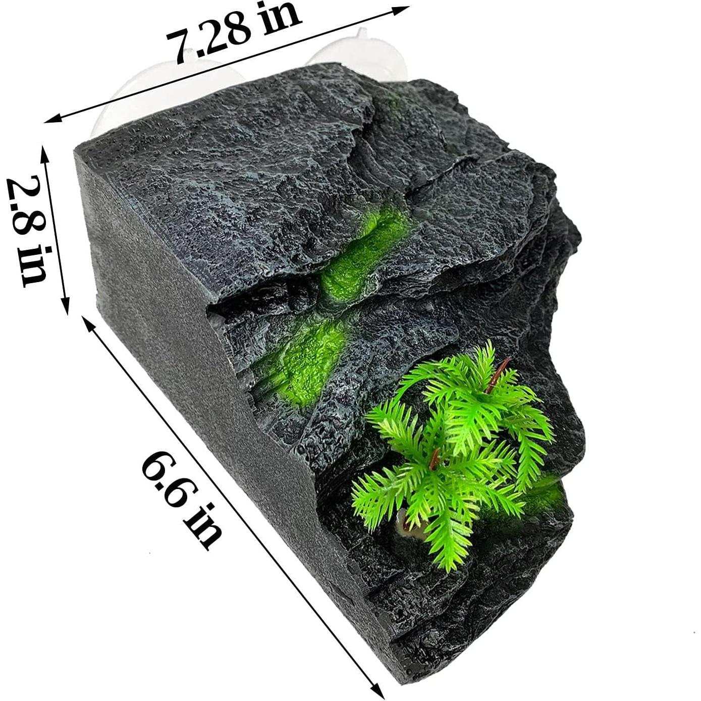 Plataforma de Sol para Tortugas Kathson con Ventosas 18x16cm