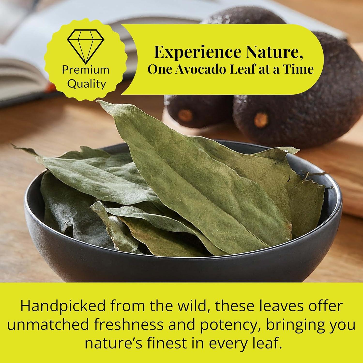 Hojas de Aguacate Secas Akshit 73.71g - Té Natural Sin Cafeína