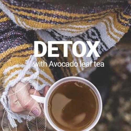 Hojas de Aguacate Secas Akshit 73.71g - Té Natural Sin Cafeína