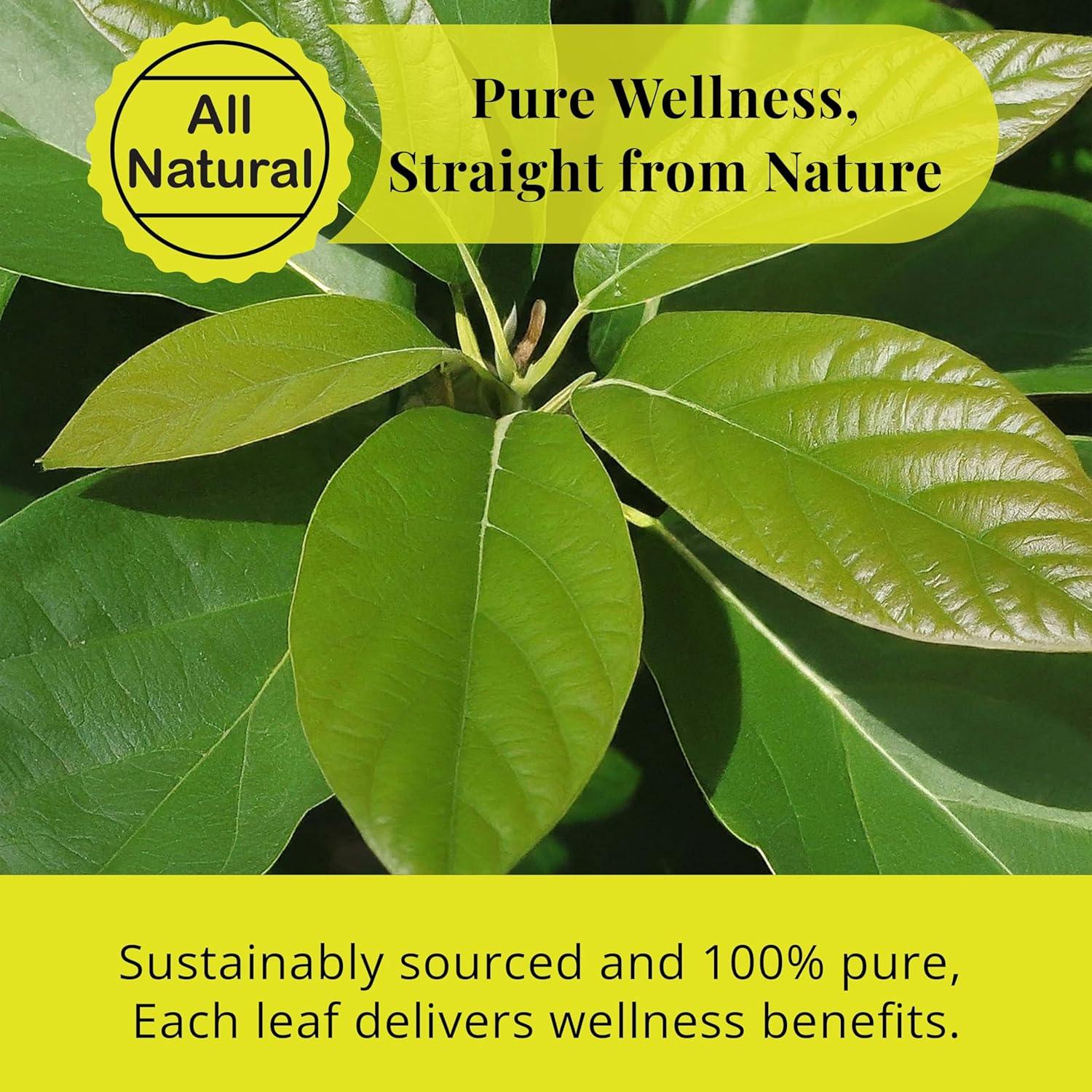 Hojas de Aguacate Secas Akshit 73.71g - Té Natural Sin Cafeína