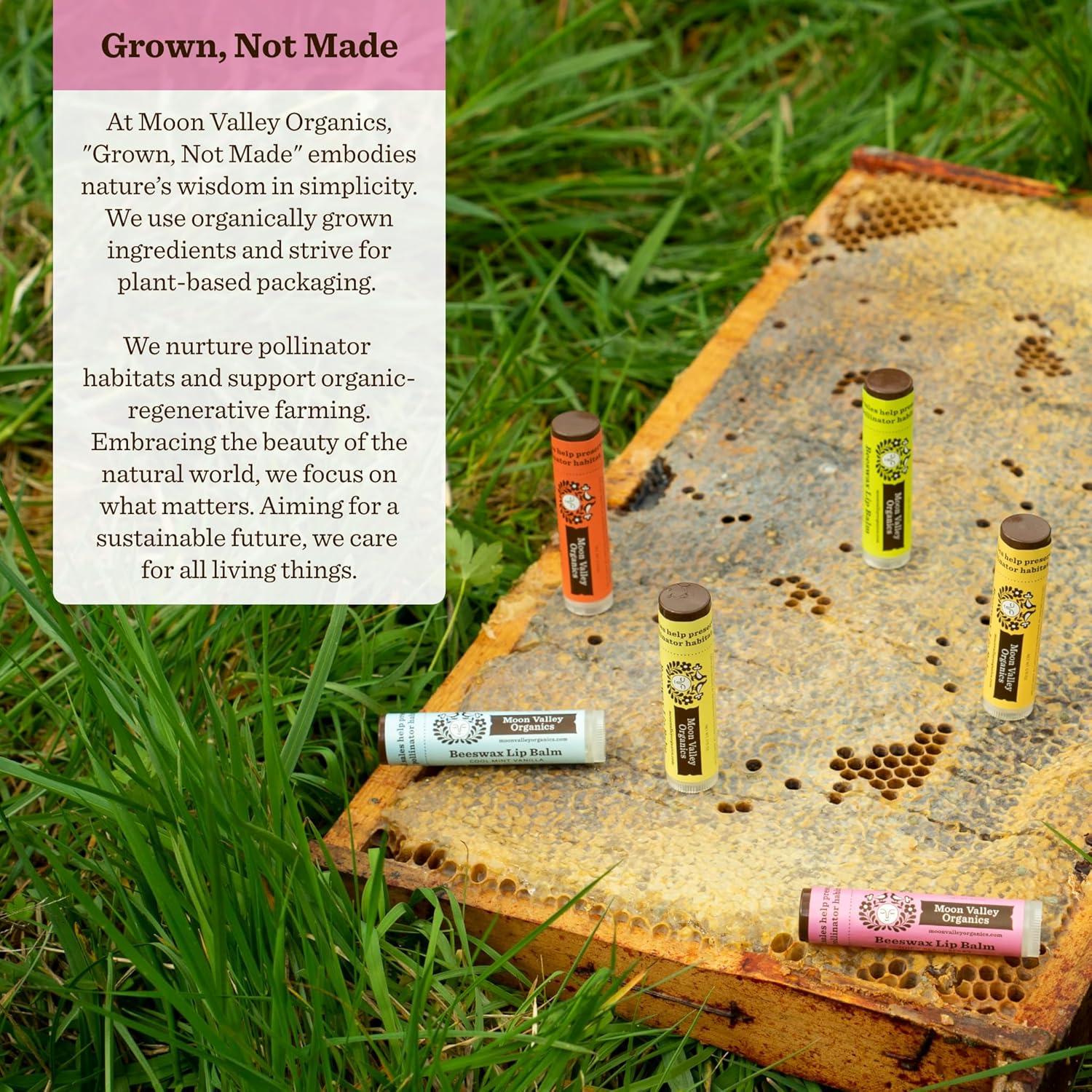 Bálsamo Labial Orgánico Moon Valley Mora 4.5g - Hidratante Natural