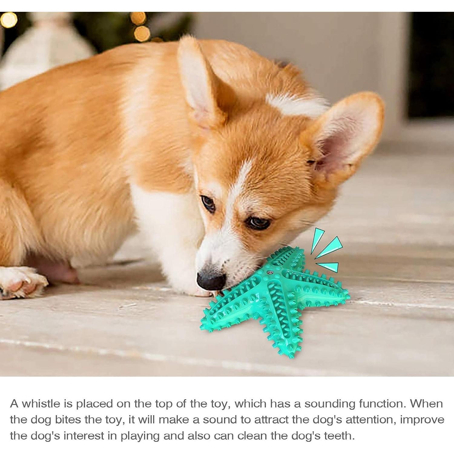 Juguete para Perro Carllg Estrella de Mar 16.5cm Azul