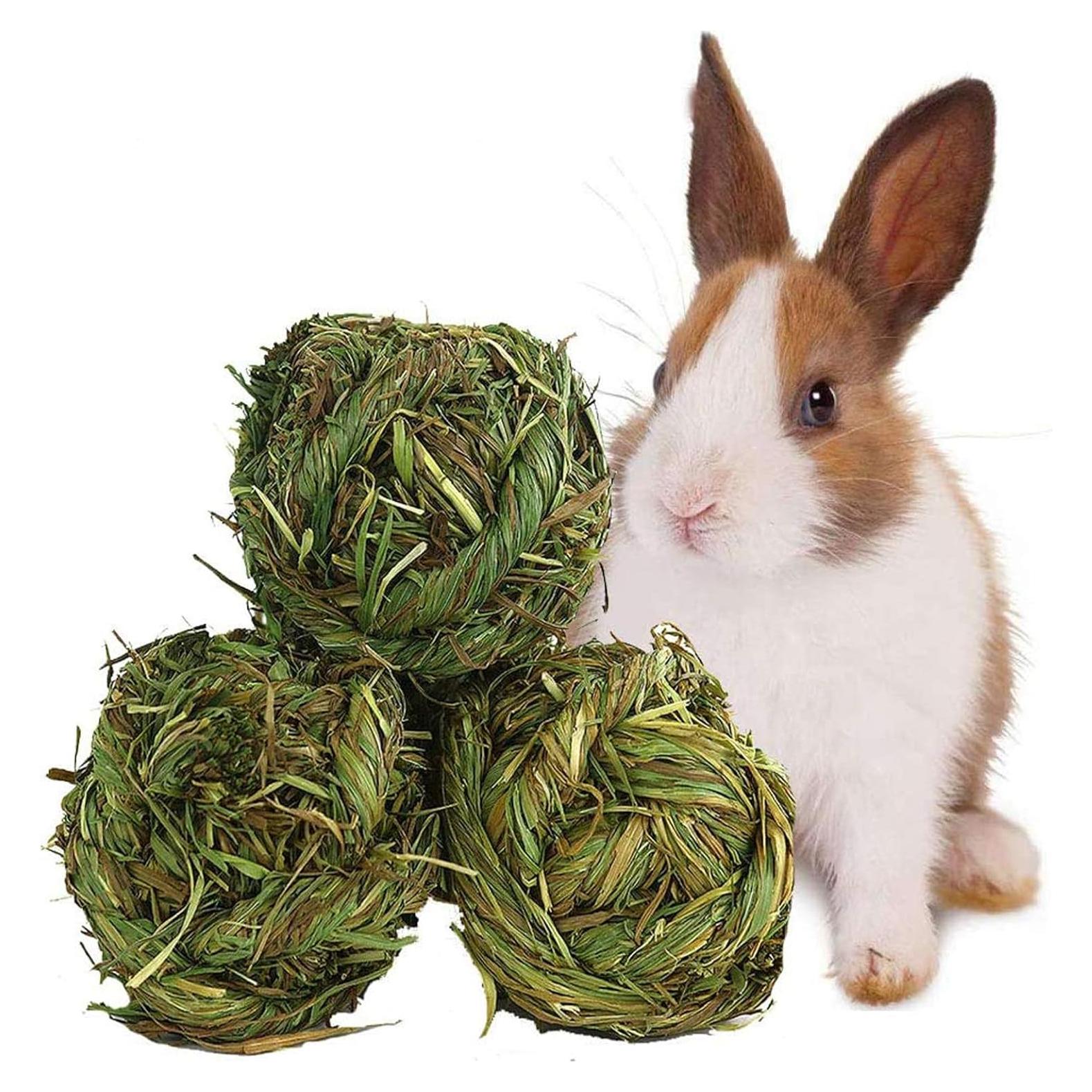 Pelota de Masticar de Hierba Timothy Hamiledyi - 3 Piezas