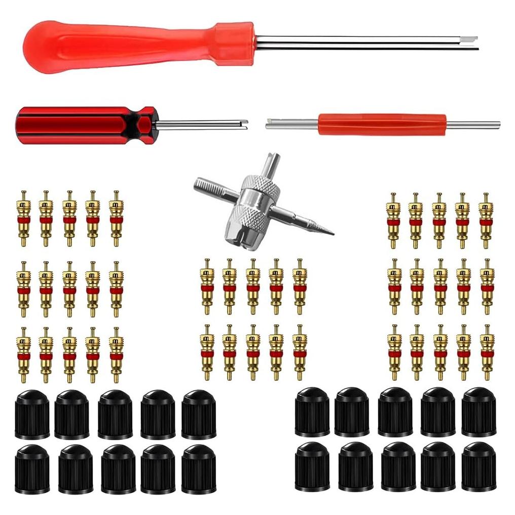 Juego de Herramientas para Válvula de Neumático AICEL - 40 Núcleos y 20 Tapas