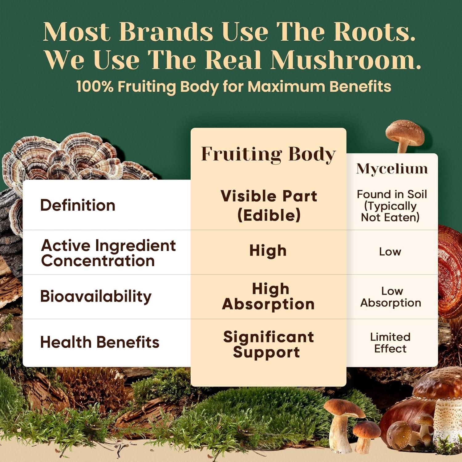 Venture Pal 16-in-1 Mushroom Powder 17,300mg with Adaptogens for Coffee & Tea | Ashwagandha, Lion’s Mane, Rhodiola | 10:1 Extract from 100% Fruiting Bodies | 90 Servings