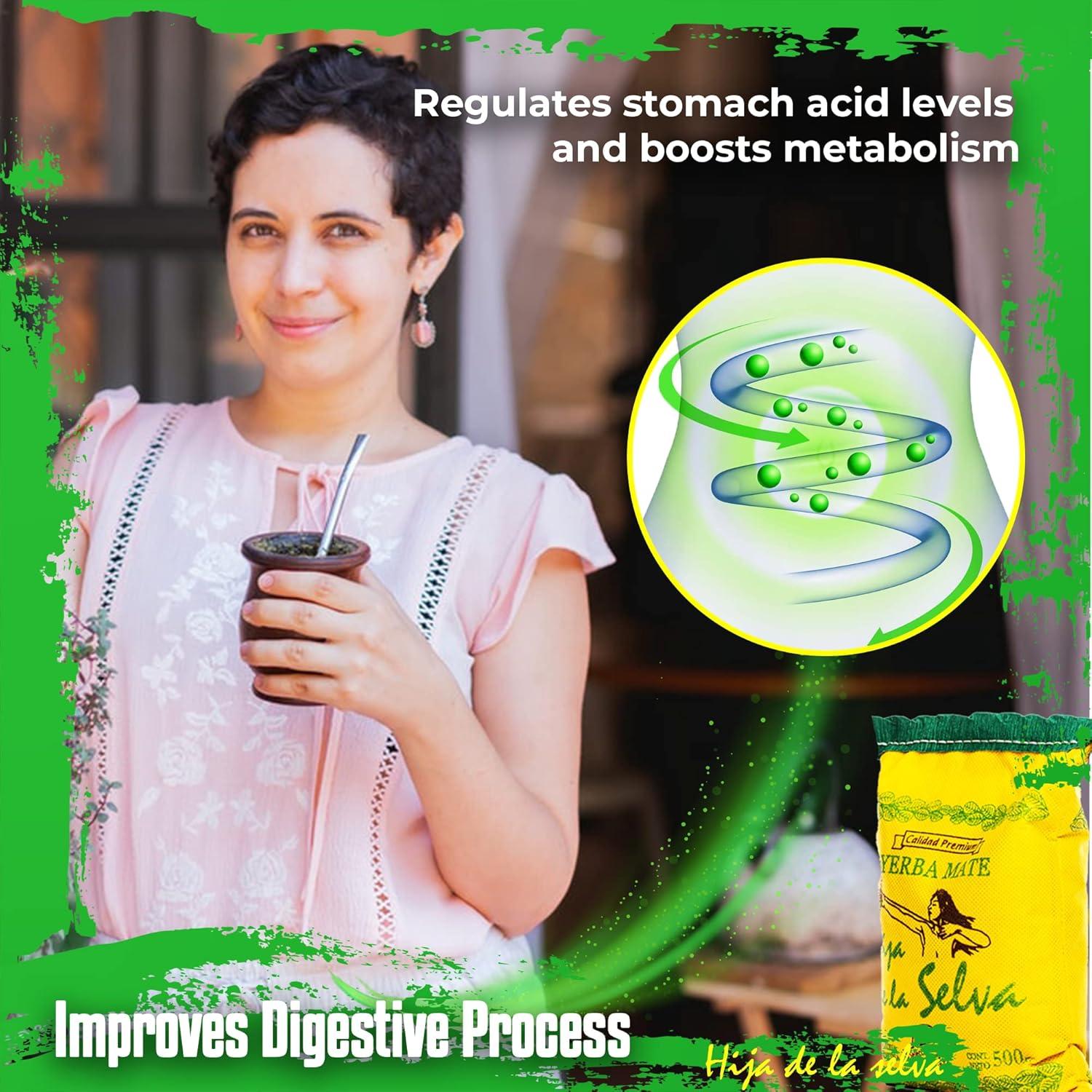 Yerba Mate Orgánica Hija de la Selva 500g Tradicional