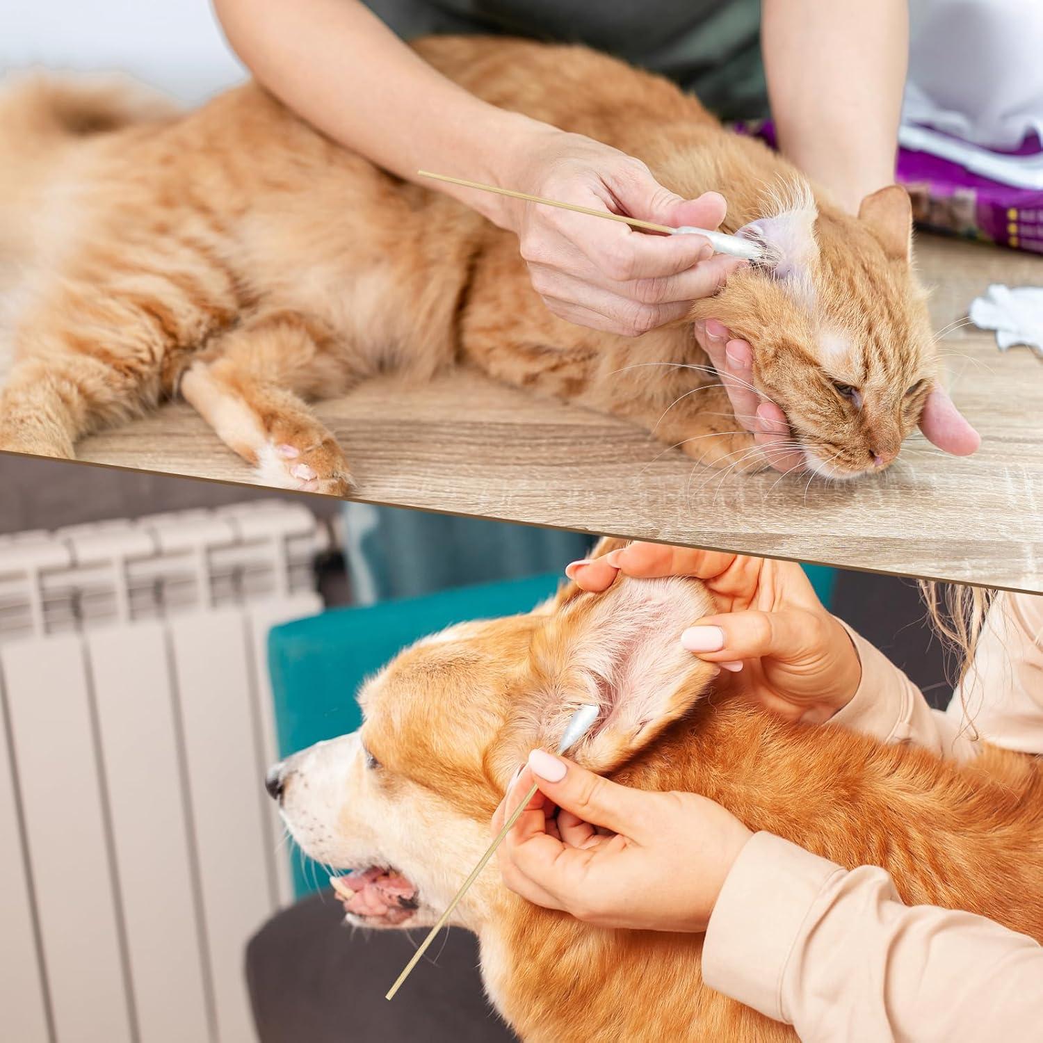 Hisopos de Algodón Eyxformula para Limpieza de Oídos de Mascotas - 15.24 cm, Mango de Bambú, 200 Piezas