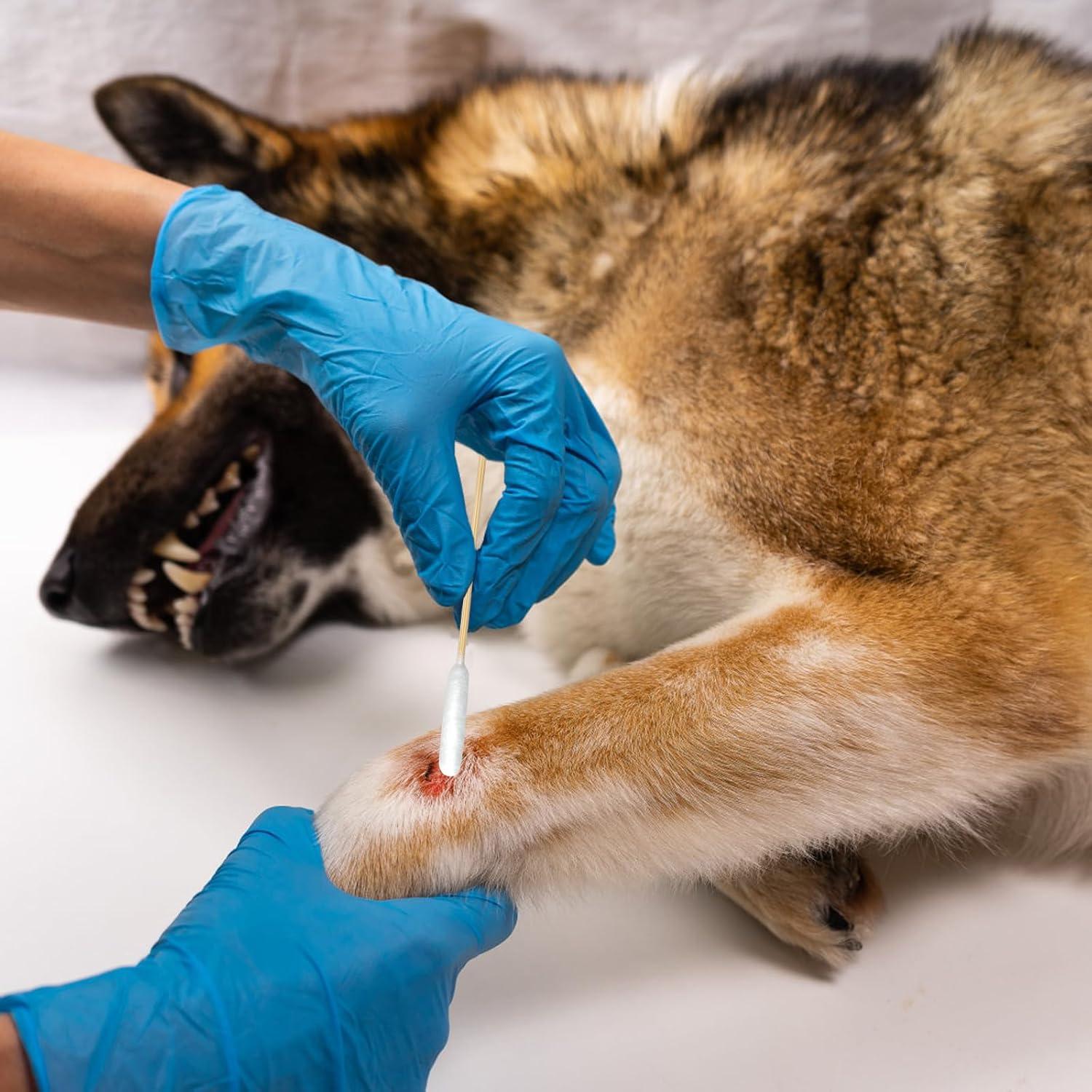 Hisopos de Algodón Eyxformula para Limpieza de Oídos de Mascotas - 15.24 cm, Mango de Bambú, 200 Piezas