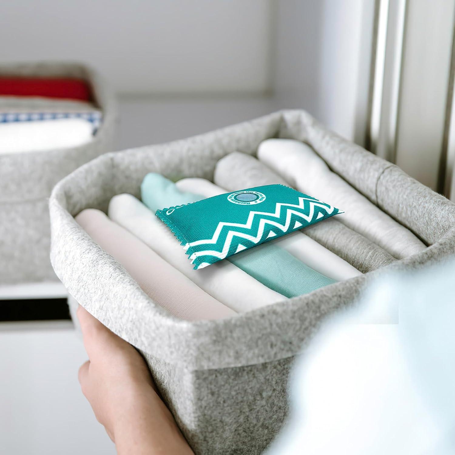 Paquete Deshumidificador Recargable Colorato 100g - Protección Humedad