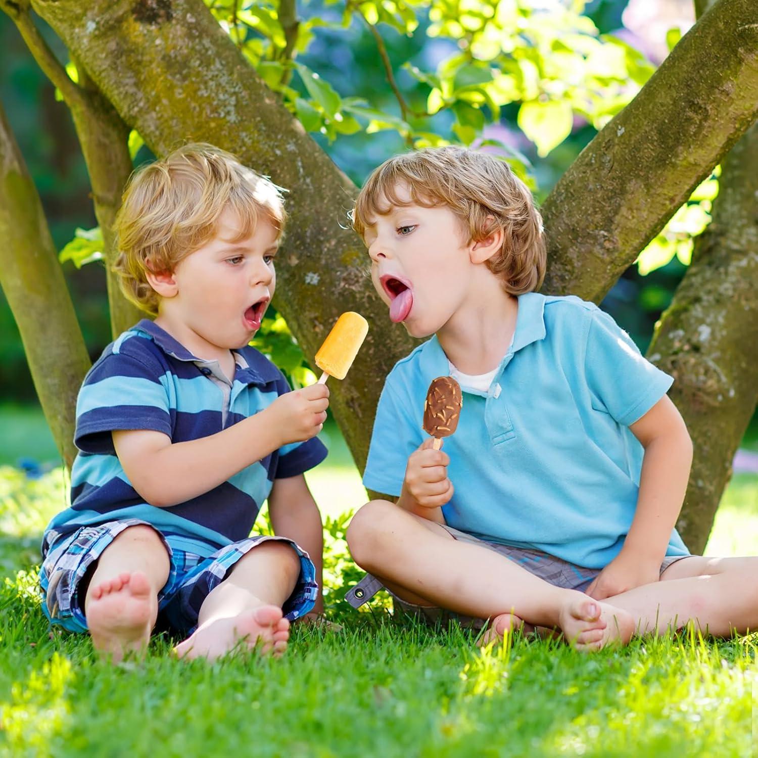 4 Moldes de Silicona para Paletas SAYAYA con 200 Palitos