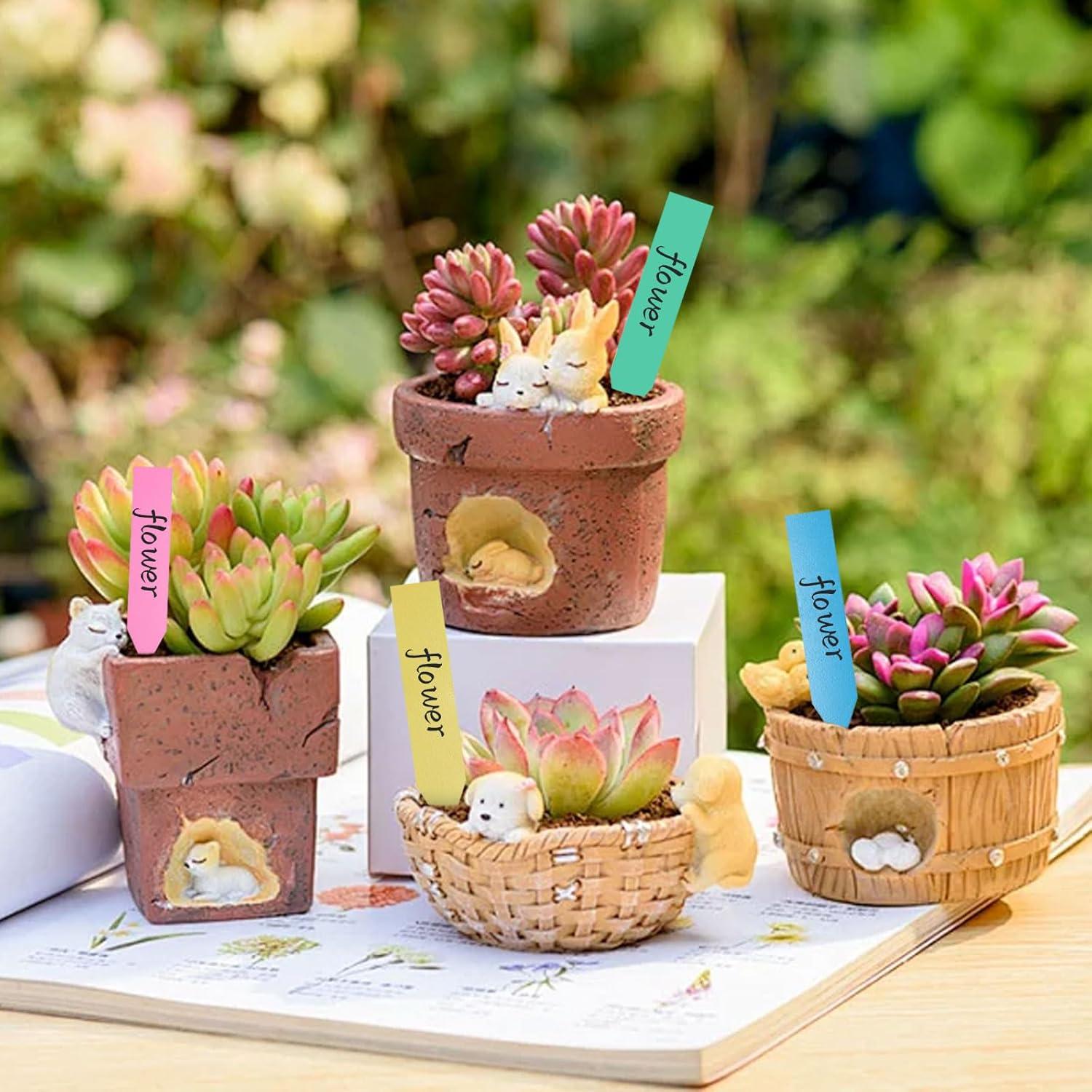 Etiquetas de Jardín Diteryy 1000 Pcs Plástico Multicolor