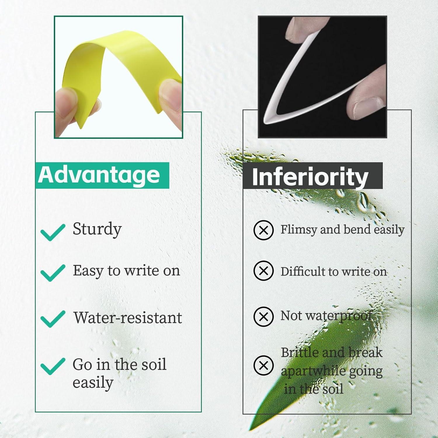 Etiquetas de Jardín Diteryy 1000 Pcs Plástico Multicolor