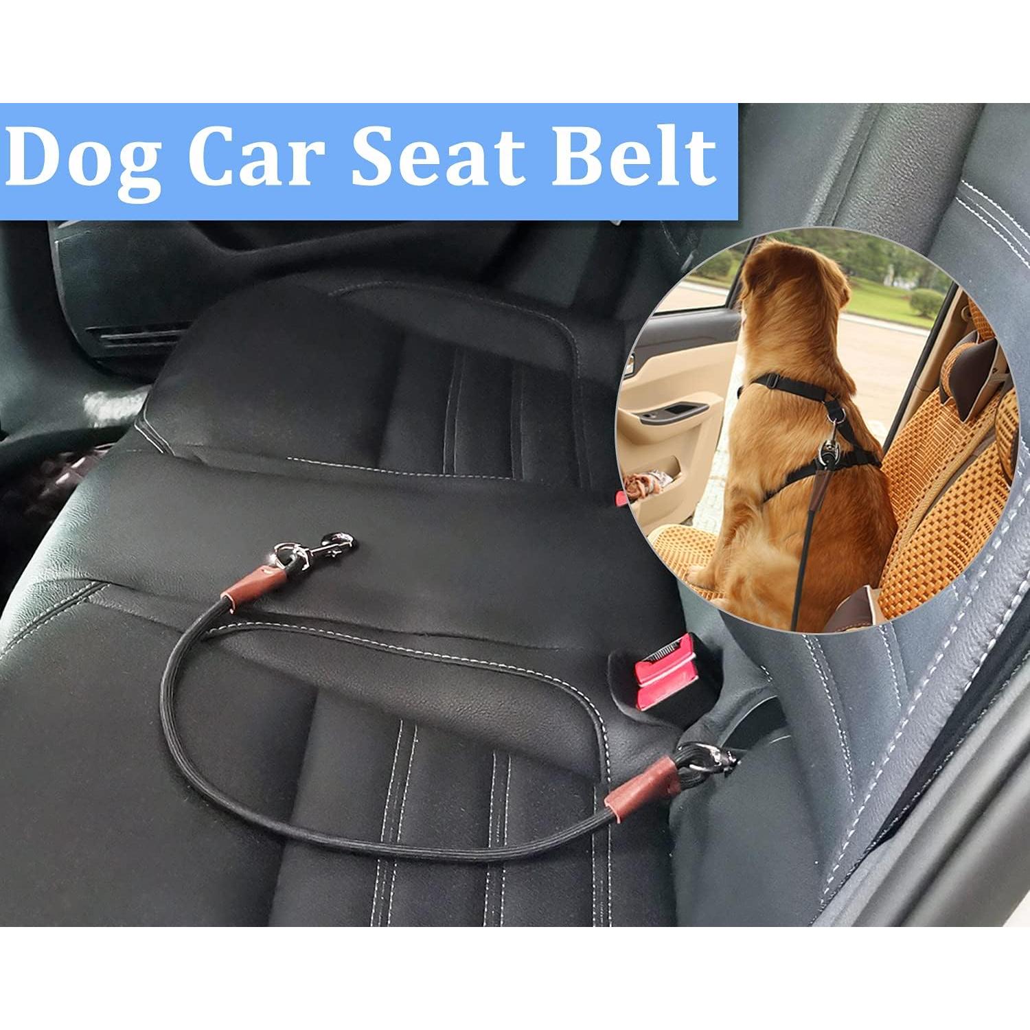 Correa de Entrenamiento MayPaw para Perros - 50 CM - Coche e Interior