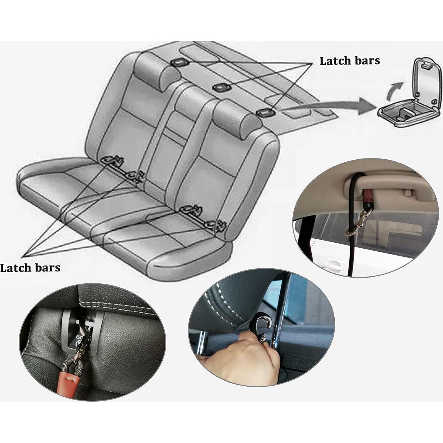 Correa de Entrenamiento MayPaw para Perros - 50 CM - Coche e Interior