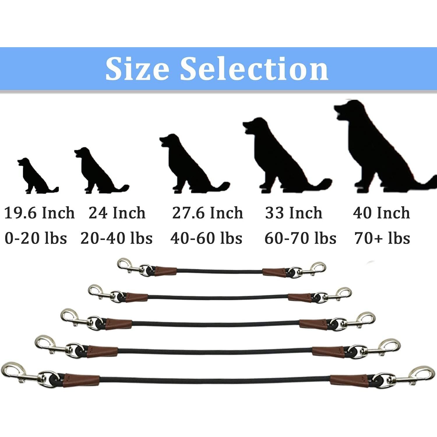 Correa de Entrenamiento MayPaw para Perros - 50 CM - Coche e Interior