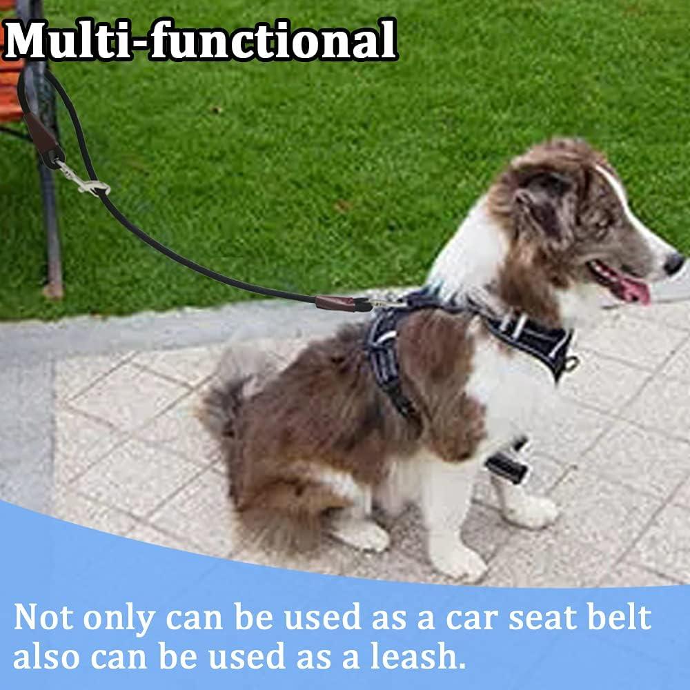 Correa de Entrenamiento MayPaw para Perros - 50 CM - Coche e Interior