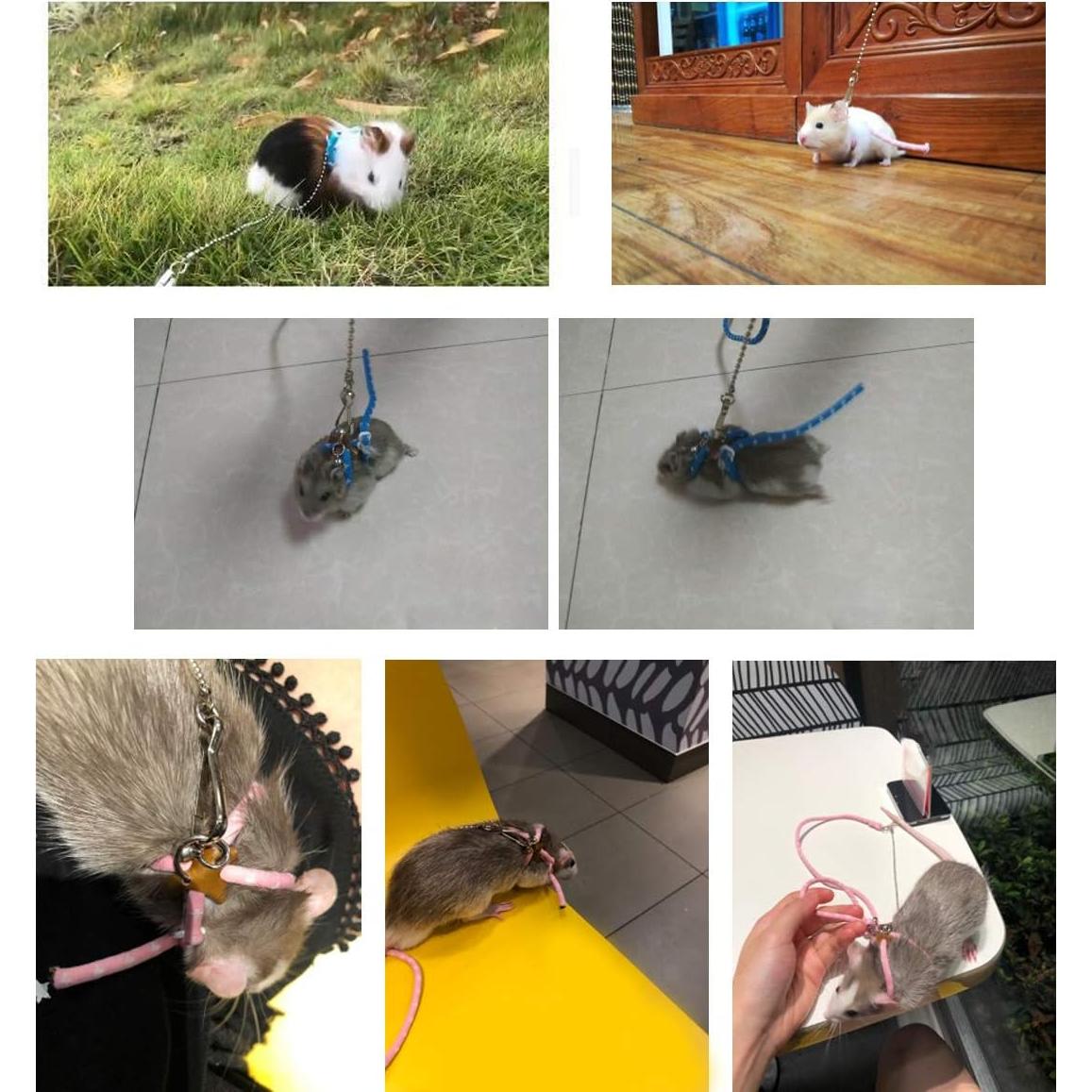 Arnés Ajustable con Campana para Ratas y Cobayas Wontee Azul