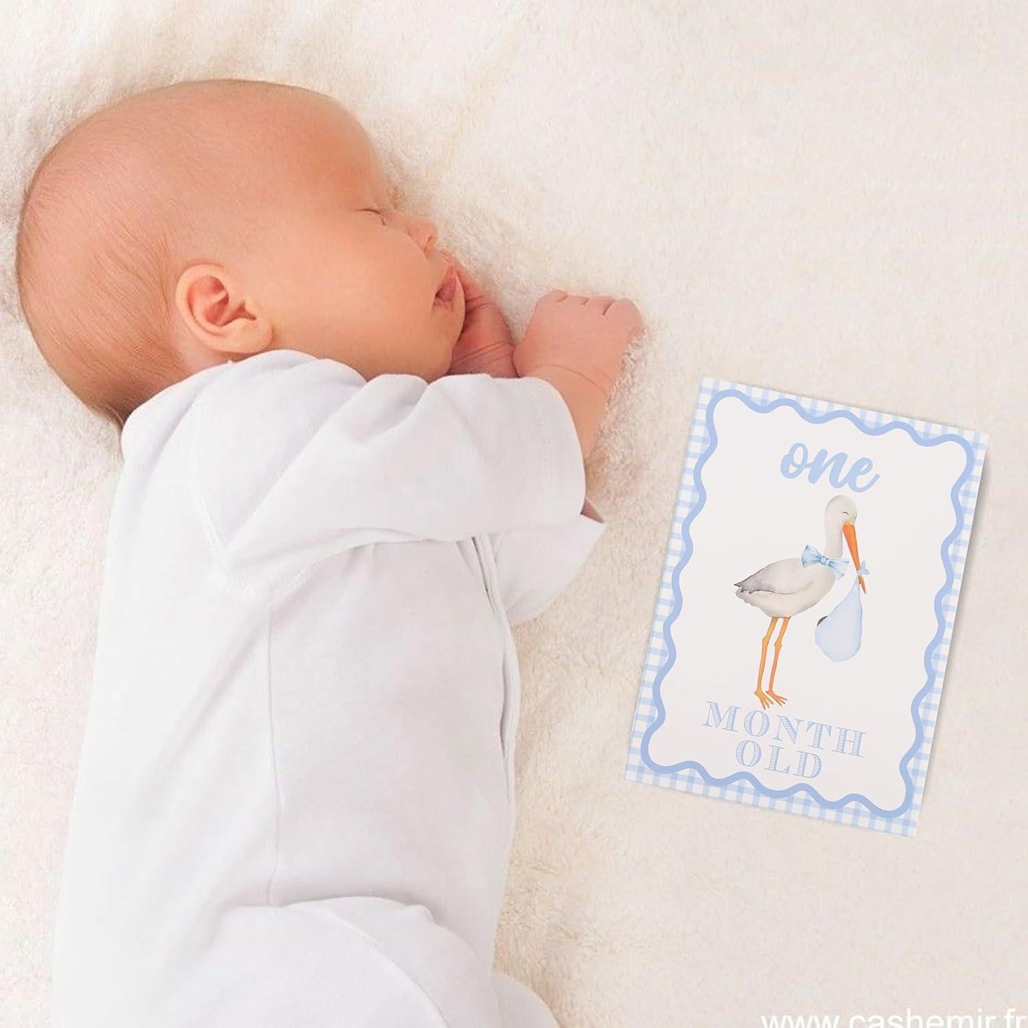 Tarjetas de Hito Mensuales WAUAO - Accesorios para Fotos Bebé