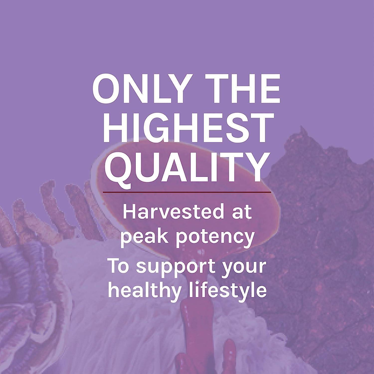 Suplemento de Hongos Melena de León Defensa de Anfitrión 30 Cápsulas