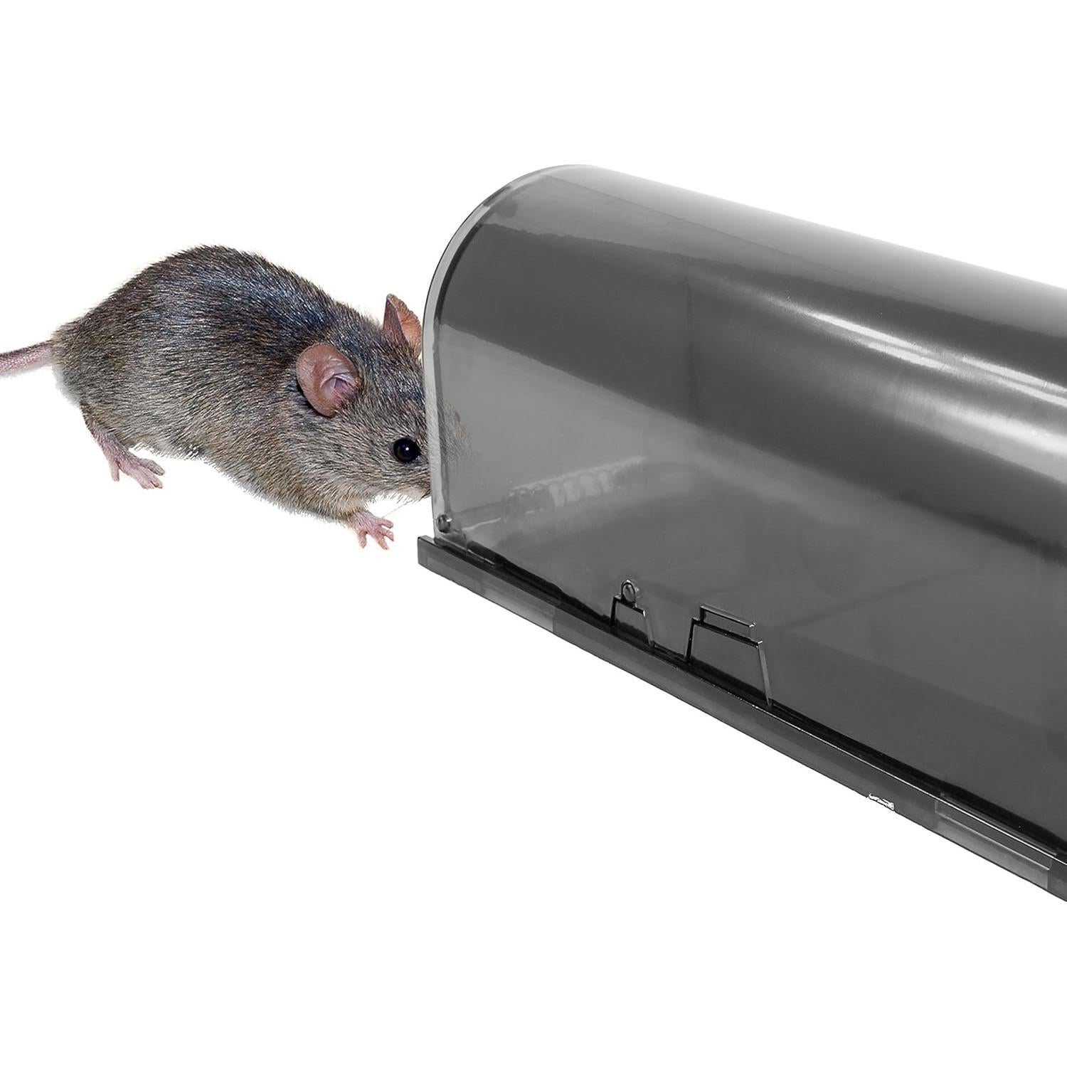 Trampas Humanas para Ratones iTrap - Juego de 2 Reutilizables