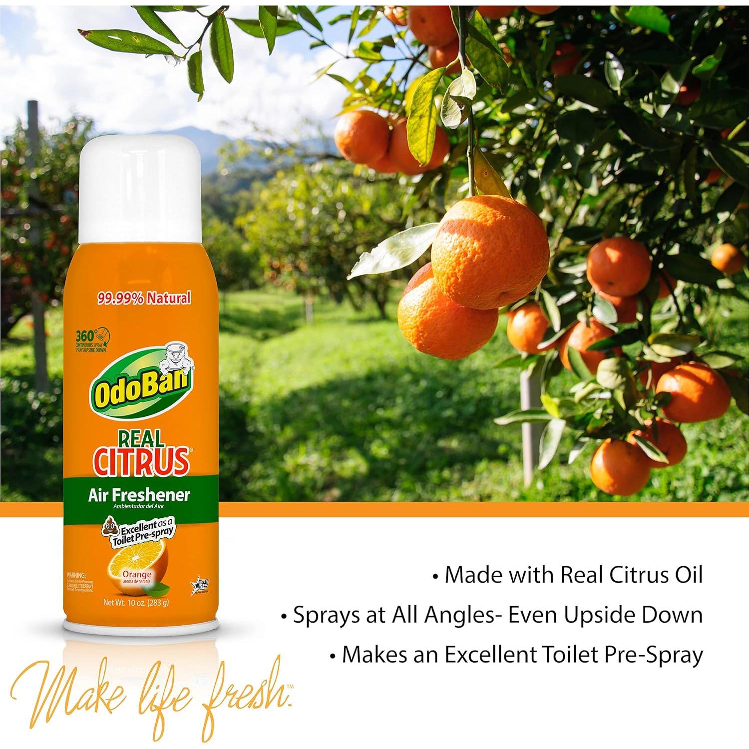 Set Ambientador OdoBan 10oz Naranja + Gel Absorbente 14oz + Limpiador 1 Galón