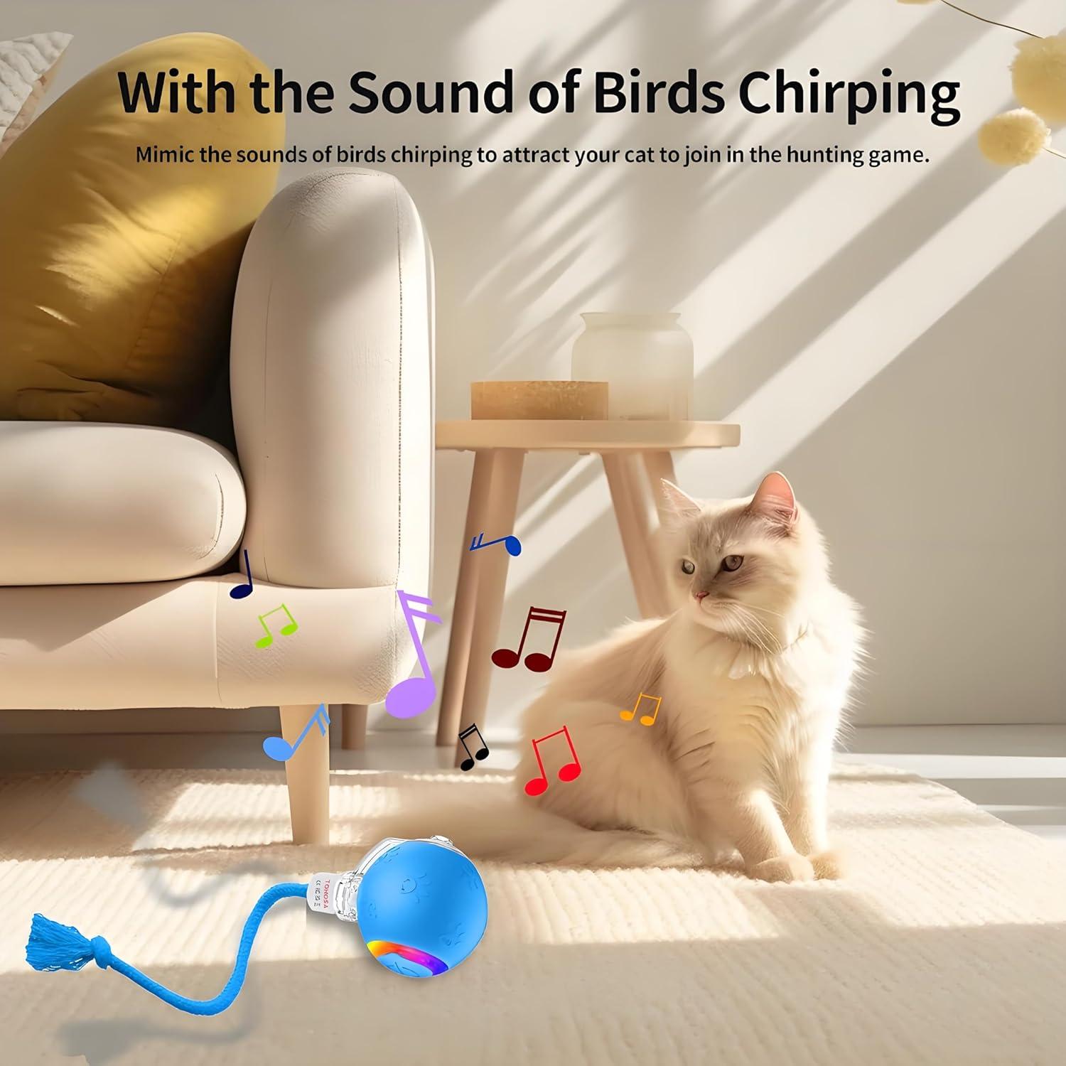 Juguete Interactivo para Gatos Tonosa O10 - Bola Automática Azul