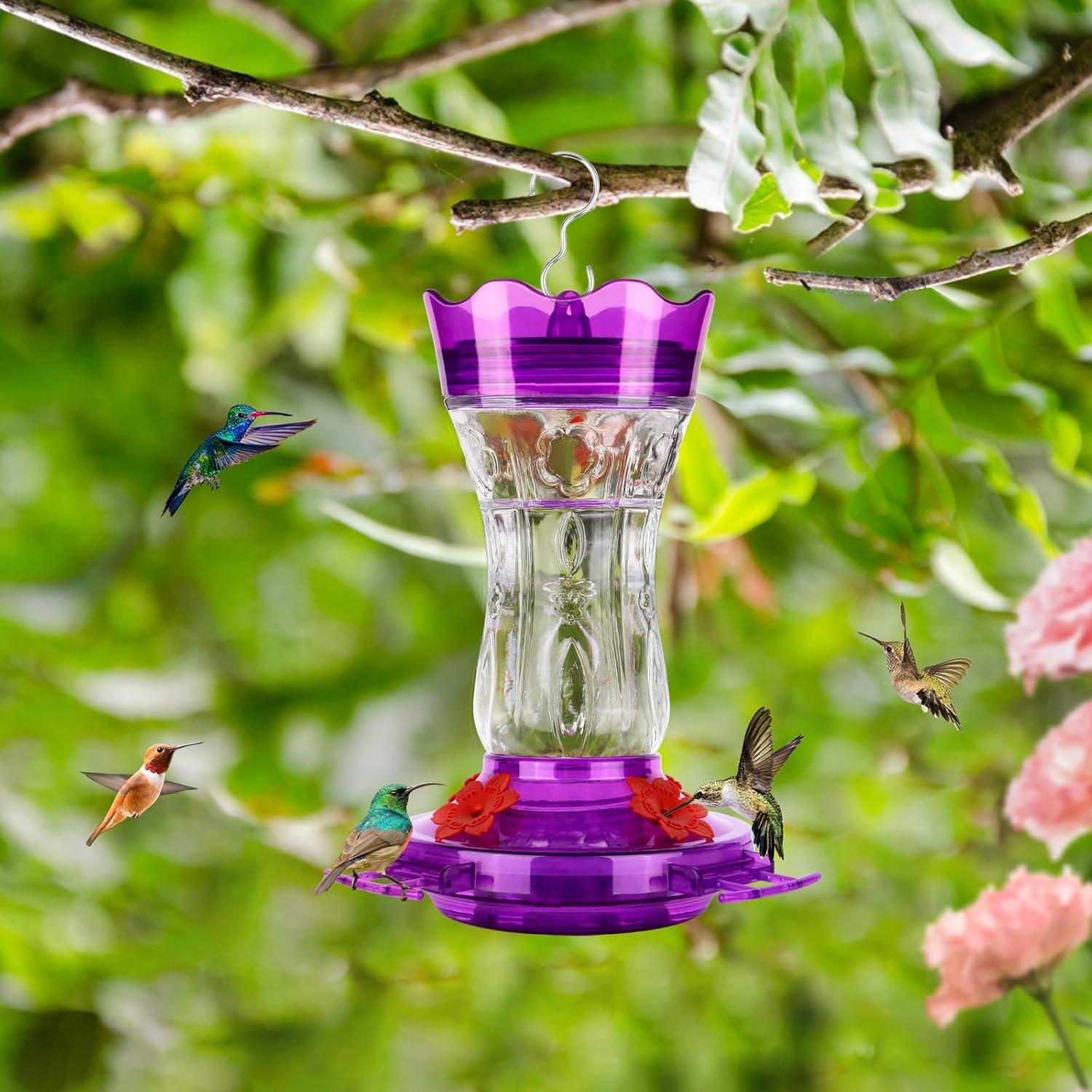 Comedero para colibrí XAROO de vidrio 425g con trampa para hormigas