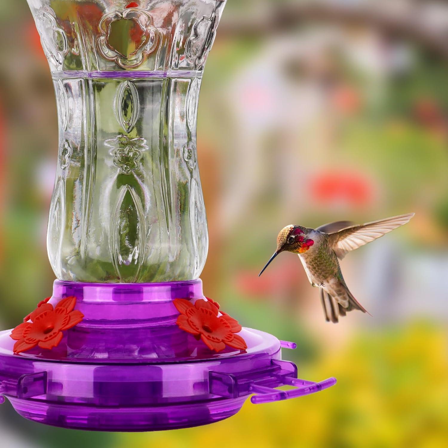 Comedero para colibrí XAROO de vidrio 425g con trampa para hormigas