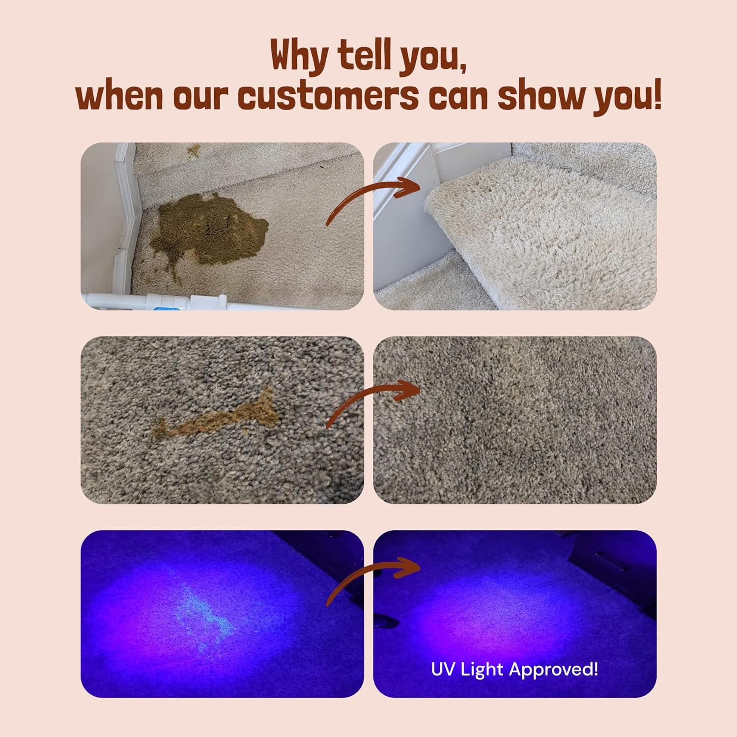 Limpiador Enzimático para Mascotas Sunny & Honey 946 ml - Especias de Otoño