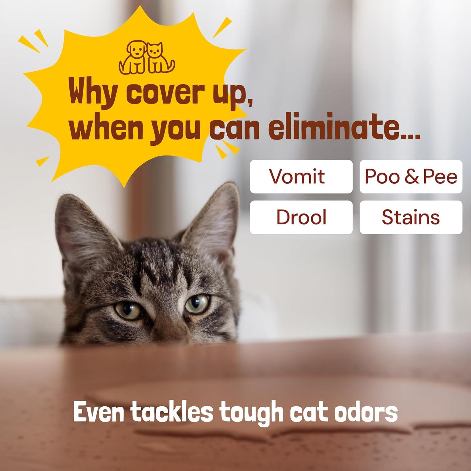 Limpiador Enzimático para Mascotas Sunny & Honey 946 ml - Especias de Otoño