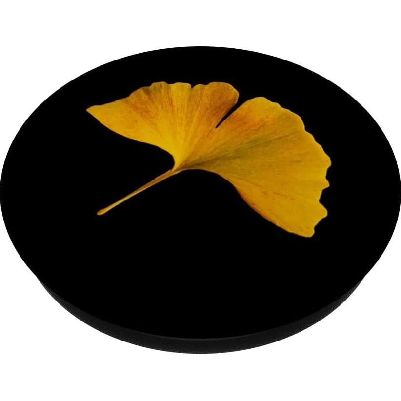 PopSockets Ginkgo Biloba Hoja de Otoño Soporte Negro