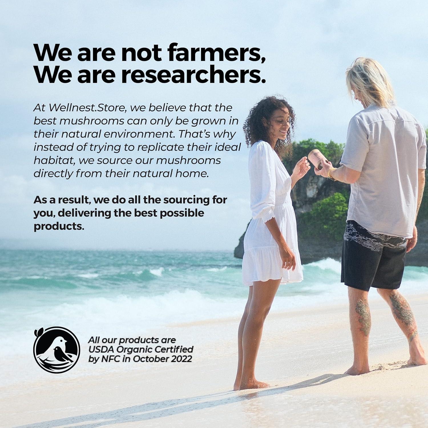 Suplemento Orgánico Hongo Melena de León 60 Cápsulas Vegetales