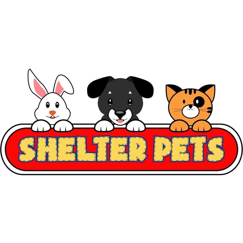 Juguete de Peluche Pitbull Magnum 10" Gris - Apoya Refugios