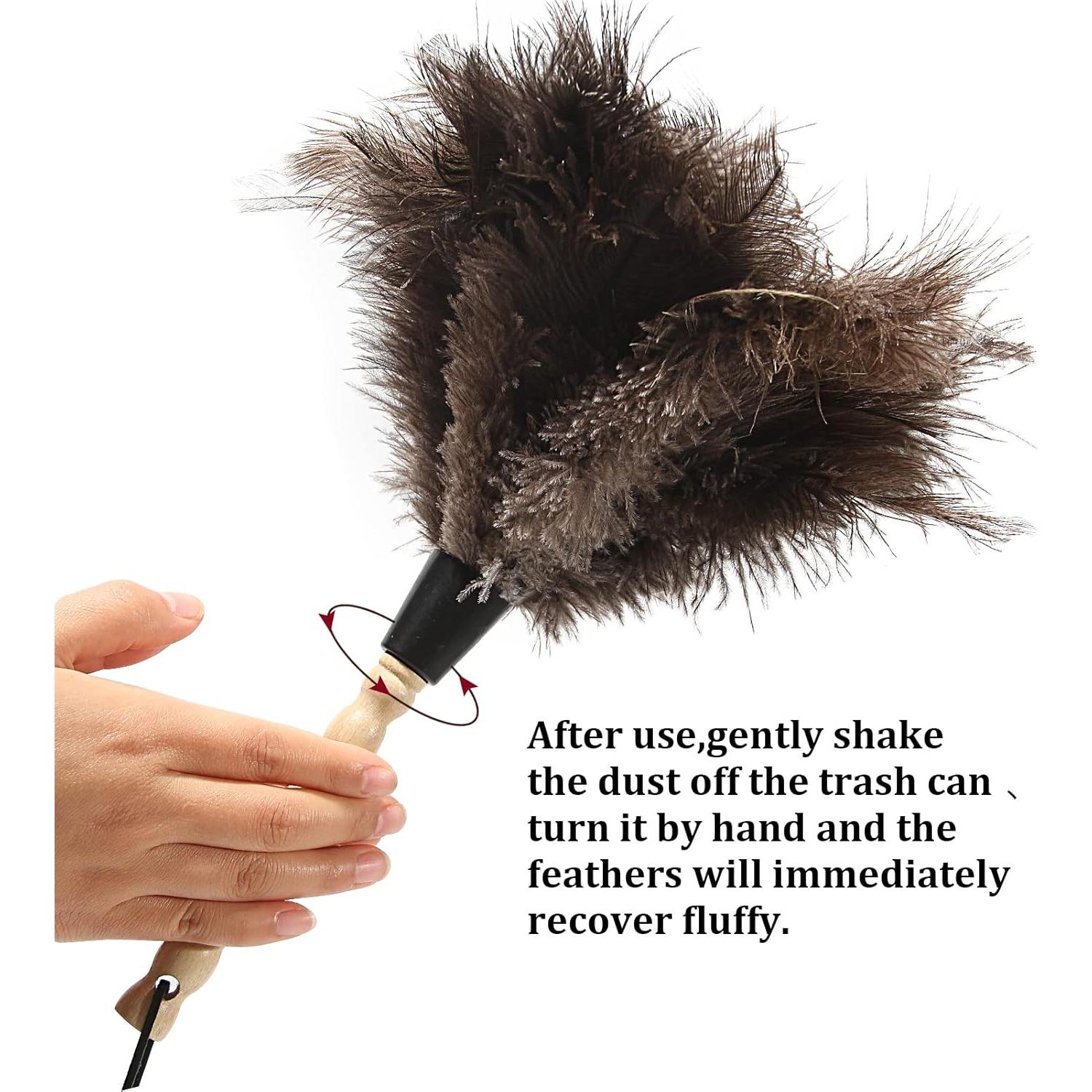 Plumero de Plumas de Avestruz iHUFeather 35.56 cm Ecológico