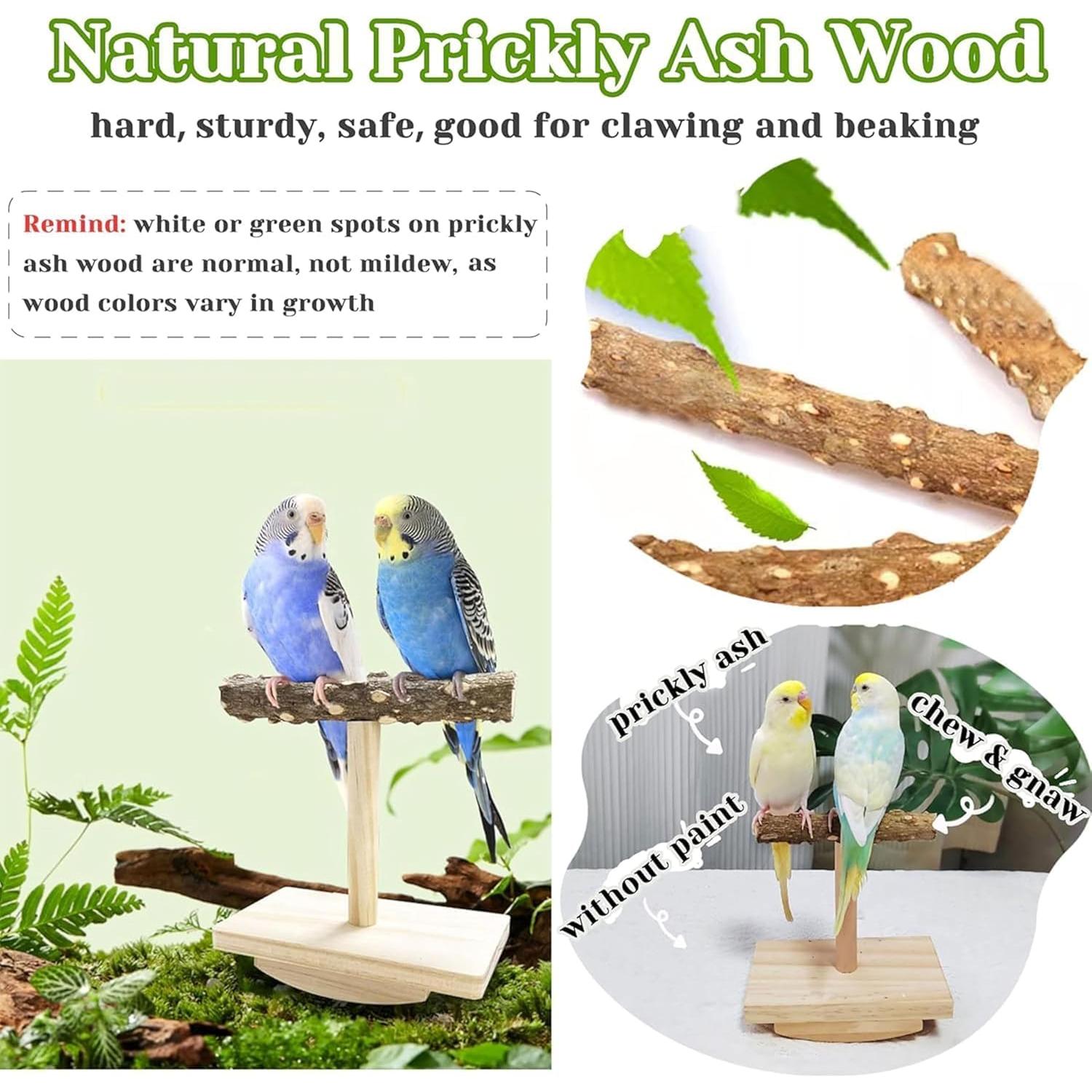 Soporte de Percha para Aves Jevnd de Madera Natural Pequeño