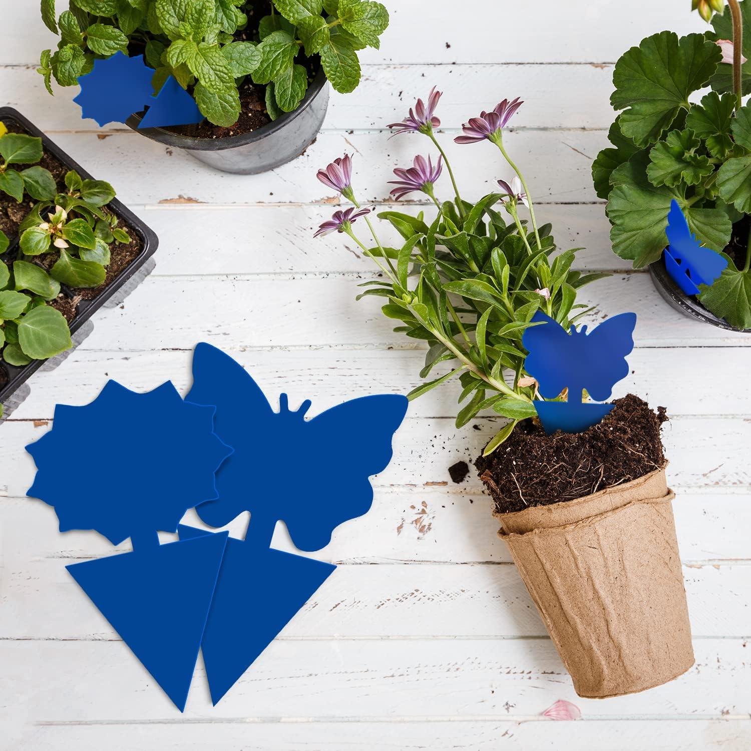 Trampas Adhesivas para Insectos Landisun 24PCS Azul