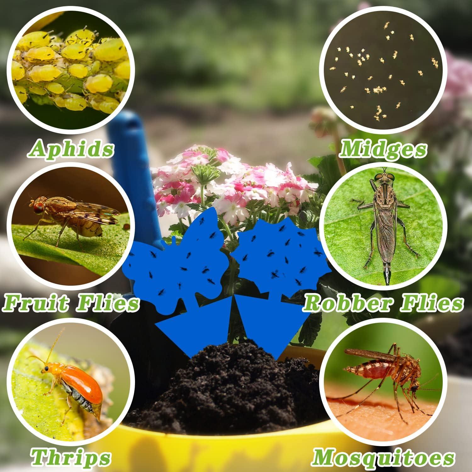 Trampas Adhesivas para Insectos Landisun 24PCS Azul