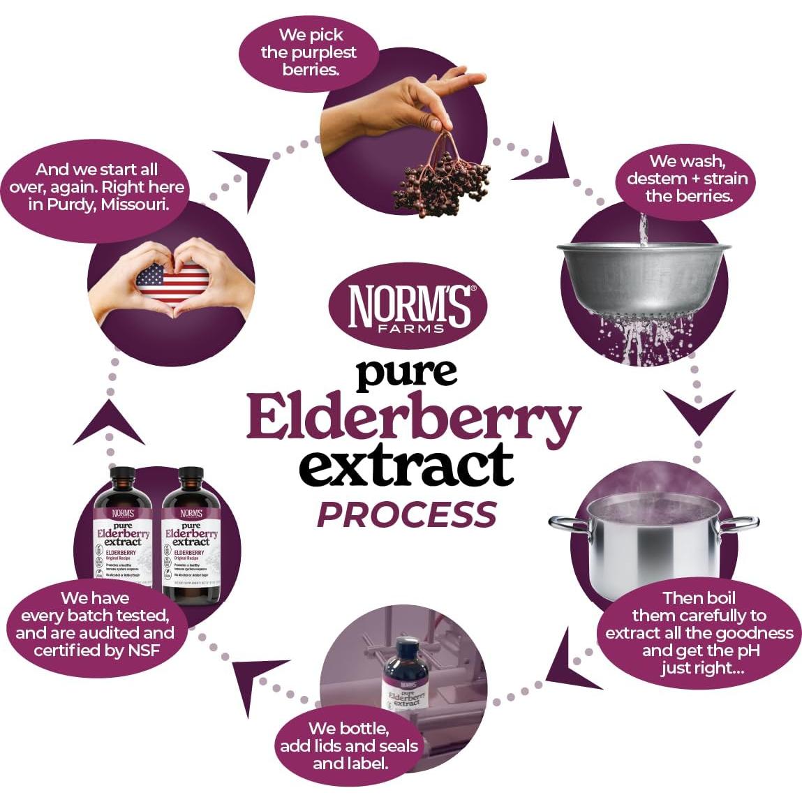 Extracto Puro de Saúco Norm's Farms 236.6 ml - Vegano, Sin Gluten