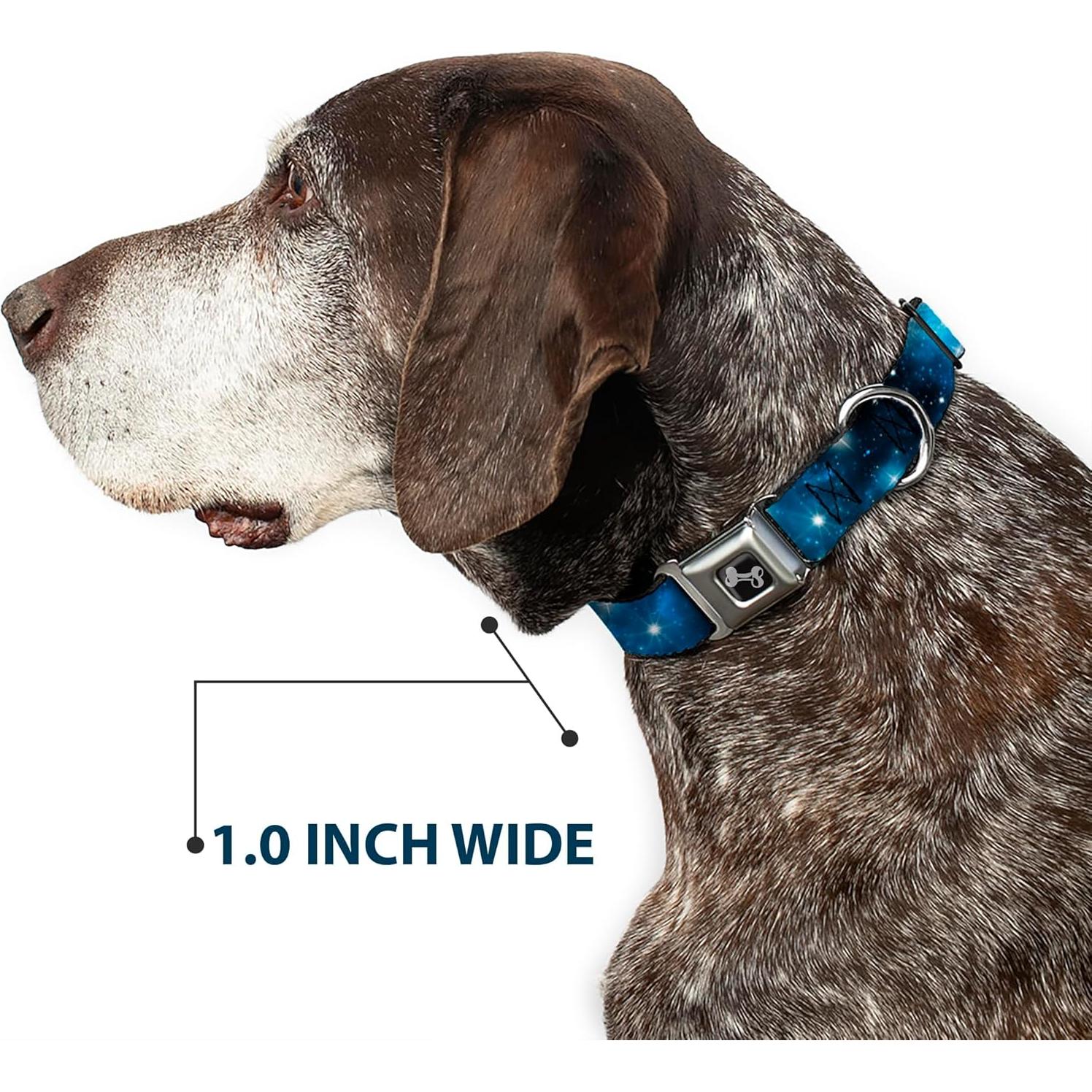 Collar de Perro Buckle-Down Galaxy Blues 2.54 cm Ancho 22.86-38.1 cm