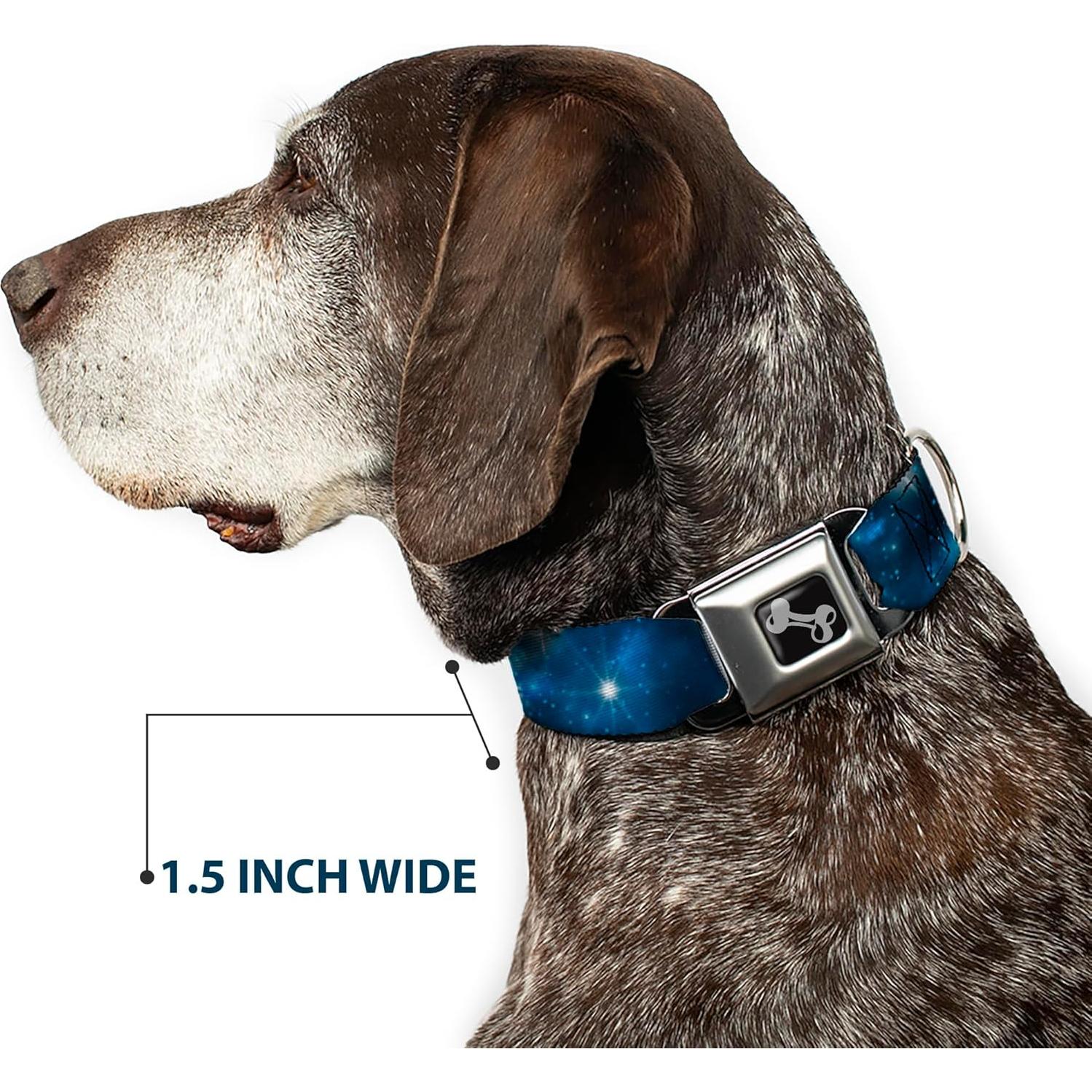 Collar de Perro Buckle-Down Galaxy Blues 2.54 cm Ancho 22.86-38.1 cm